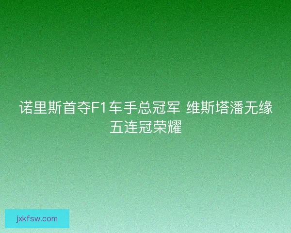 诺里斯首夺F1车手总冠军 维斯塔潘无缘五连冠荣耀 诺里斯首夺F1车手总冠军 维斯塔潘无缘五连冠荣耀