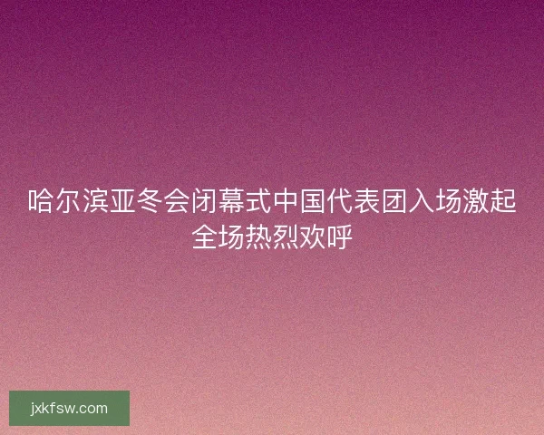 哈尔滨亚冬会闭幕式中国代表团入场激起全场热烈欢呼 哈尔滨亚冬会闭幕式中国代表团入场激起全场热烈欢呼